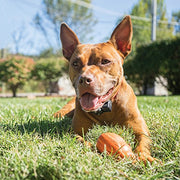 PetSafe Premium Wireless Pet Fencing System Extra Collar - Model PIF-275-19
