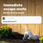 PetSafe GPS Dog Tracker, Real-Time Location Tracking, Escape Alerts, Activity Monitoring, Blue, PTK00-18270