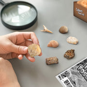Byncceh Fossil Dig Kit Educational STEM Science Toy with 12 Real Fossils and Dinosaur Bones for Kids Ages 6+