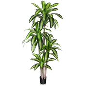 DR.Planzen DBXT1.8m-1 6ft Dracaena Tree Faux Artificial Plants