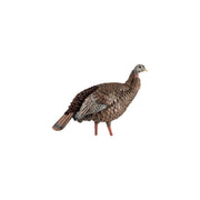 Avian-X HDR Hen Turkey Decoy, Heavy-Duty Realism, Two Interchangeable Heads, Multicolor, Durable Blow-Molded Design, AVX8106