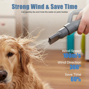 Edx Dog Blower Pet Hair Dryer, Adjustable Wind Speed, 3 Temperature Modes, 4 Detachable Nozzles, 6.5ft Cord, Gray, CW-CSJ-5JT-GY