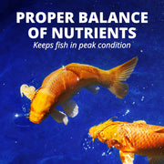 TetraPond Sticks Pond Fish Food for Goldfish and Koi, 2.65 lb AQ-78346