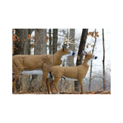 Flambeau 5001167 Outdoor Deer Deocys