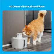 Premier Pet Multi Cat Fountain, 54 oz, Dual-Filter System, BPA-Free Plastic, Adjustable Flow-Control, Ultra-Quiet Bubbler