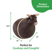 Big Country Toys Bouncy Bull Inflatable Rodeo Ride-On Kids Toy, Brown, 16-Inch Diameter, Ages 3 and Up, 2106744