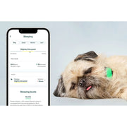 Whistle Health Smart Device, Dog Health and Fitness Tracker