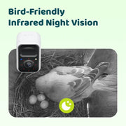 Birdfy Smart Bird House, Solar Powered 1080P HD Camera with Night Vision, Eco-Friendly Bamboo, Polygon Shape, Blue