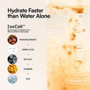 DryWater Hydration Powder (Electrolytes + Vitamins), Peach Mango, 0.39 Ounce (Pack of 6)