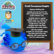 Power Your Fun Axolotl Classic Unisex Squeezable Amphibians Stress Ball, Single Piece, Blue - Axolotl Toys