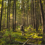 SITKA Traverse Pant - Optifade Marsh - 38 Tall