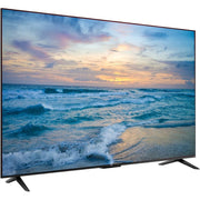 Vizio 55