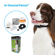 Premier Pet GIGOO16919 Dog and Cat Pet In-Ground Fence, Black