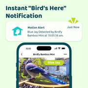 Birdfy Bamboo Smart Bird Feeder with Camera, Solar Powered, 1080P HD Video, Full-Color Night Vision, Dual Seed Bin, Large Capacity, NIWM-4829