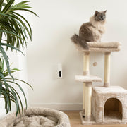 Zesty Paws Cat Calming Diffuser Starter Kit, Plug-in Pheromone Diffuser with Orchid Mist Scent, Adjustable Levels, 30 Day Coverage
