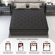 DalisTairy 14 Inch Queen Mattress Hybrid Mattresses Medium Firm in a Box