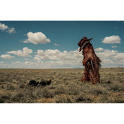 Universal Pictures Home Entertainment HIM 2025 Collector's Edition Blu-ray with Digital Copy, 1080p HD, Dolby Atmos, Multilingual Subtitles