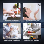 Ranein Electric Tankless Water Heater, 4.5 kW, 110V, Instant On-Demand, Under-Sink Point-of-Use Heater, LED Digital Display
