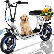 HOTEEL 000252 Electric Scooter 14