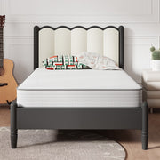 Avenco CozyNest 6