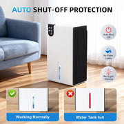 GOOVI Whole House Dehumidifier, Dual-Core Semiconductor Technology, Ultra Quiet Operation, 85oz Water Tank with Drain Hose, Black, CT9