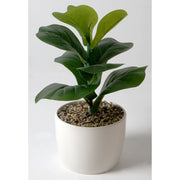 Mainstays 13 Artificial Plant Faux Fiddle Leaf in White Ceramic Vase