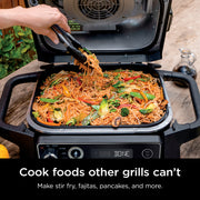 Ninja Woodfire Flat Top Griddle Plate