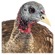 Avian-X LCD Breeder Hen Turkey Decoy