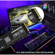 Fanxiang S501 256gb Nvme Ssd