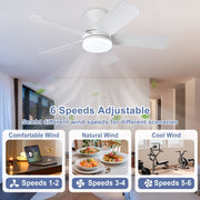 Depuley 35-Inch Low Profile Ceiling Fan with Dimmable LED Light, 6-Speed DC Motor, Remote Control, 5 White ABS Blades, Indoor/Outdoor Damp Rated WS-FPZ194-35C-WH.NA