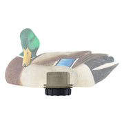 Avian-X Power Shaker Mallard Preener Motorized Duck Decoy Combo