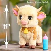 Just Play FurReal Maggie Feed & Follow Cow, 11 Inch Interactive Plush Mini Highland Cow, Reddish-Orange with Blue Collar