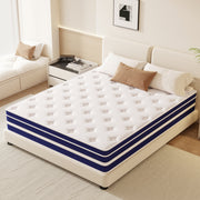 GUUKIN 10 Inch Full Size Hybrid Mattress with Memory Foam and Pocket Coils, Medium Comfort, Breathable 3D Knitted Fabric, Motion Isolation, Model 8489716564