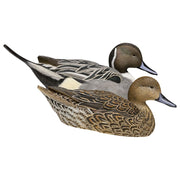Avian-X Topflight Pintail Duck Decoys 6-Pack