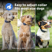 PetSafe Core Dog Trainer Dog Training Collar with Remote, 1000-Foot Range, Tone, Vibration, 15 Static Levels, Waterproof, Dark Navy