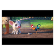 Walt Disney Studio Home Entertainment Moana DVD