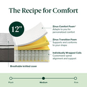 Zinus ZU-MSSB1VZI-12Q Support Plus 12