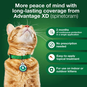 Advantage XD Large Cat Topical Flea Treatment, Fast-Acting, 2-Month Protection, Fragrance-Free, for Cats Over 9 lbs, CA4242006AM