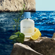 Dolce & Gabbana Light Blue Pour Homme Eau De Toilette Spray, Fresh Mediterranean Scent with Sicilian Lemon and Patchouli, 6.7 oz