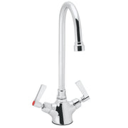Speakman Commander Double Handle Laboratory Faucet, Polished Chrome, 0.5 GPM Flow Rate, Single Hole Deck Mount, SC-7122-E