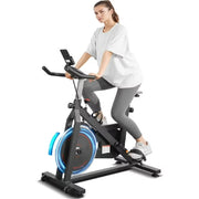 Naipo DB-THZP101 Exercise Bike Indoor Cycling Bike with 300lbs