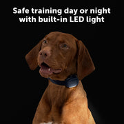 PetSafe Core Dog Trainer Dog Training Collar with Remote, 1000-Foot Range, Tone, Vibration, 15 Static Levels, Waterproof, Dark Navy