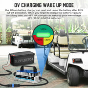 DUOYI 48V 18A Lithium Automotive Battery Charger, IP67 Waterproof, Fast Charging, Compatible with Golf Cart, Forklift, Boat, RV, Off-Grid, MMT636-9#251023