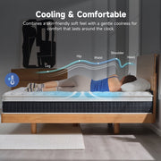 Z-HOM Queen Hybrid Mattress, 14 Inch Medium Firm, Five-Zone Pocket Spring Support, Euro Top, Breathable Knitted Cover