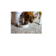 Instachew IC081C Purechew Smart Automatic Pet Feeder, Food Dispenser for Cats and Dogs, Smart Portion Contro