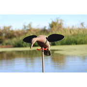 MOJO Outdoors Baby MOJO 2.0 Hen Motorized Duck Decoy