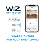 Philips Smart Wi-Fi Connected LED 85-Watt Recessed Can Downlight, Full-Color and Tunable White, Dimmable, Frosted 5-6 Inch Trim Size, E26 Base, 4-Pack, 562314-4