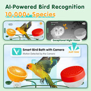 NixiYa Smart Bird Feeder with 2K Camera, Bird Bath, Solar Powered, AI Bird Identification, App Notifications, Green