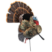 Avian-X HDR Heavy-Duty Realism Full-Body Strutter Turkey Decoy