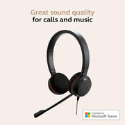 Jabra Evolve 20 Wired Dual-Ear Headset with Noise-Canceling Microphone, USB-C/A Connectivity, Black